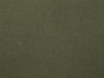 olympia clean olive