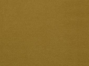 olympia clean mustard