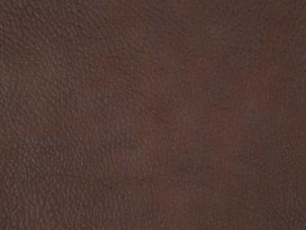 büffel cognac