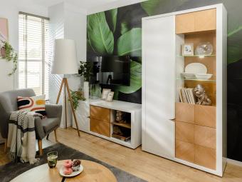 Rovika REG1D1W2S vitrin