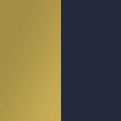 arany/navy